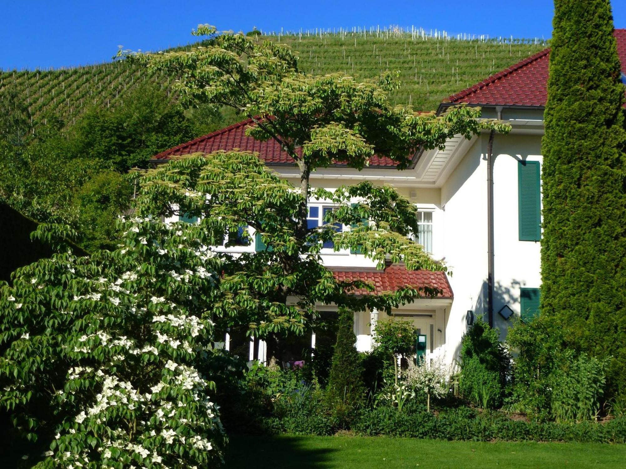 Baumanns Landhaus Durbach Pokój zdjęcie