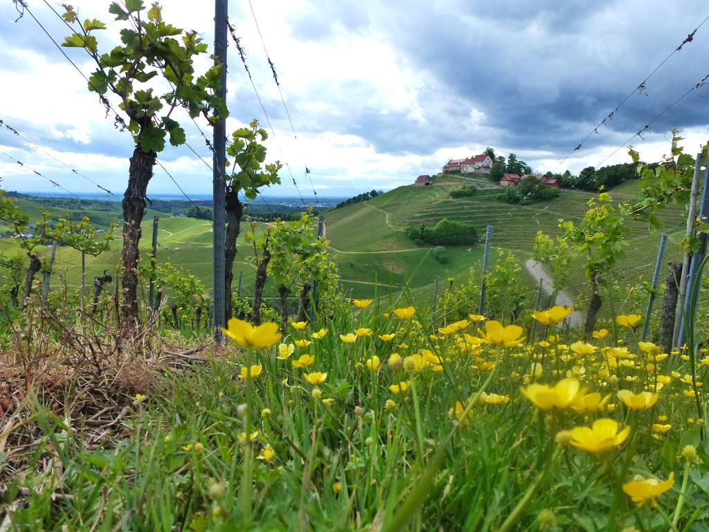 Baumanns Landhaus Durbach Zewnętrze zdjęcie