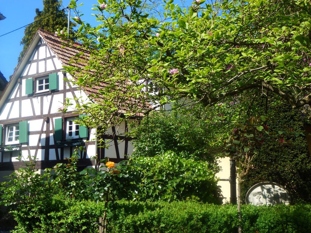 Baumanns Landhaus Durbach Zewnętrze zdjęcie