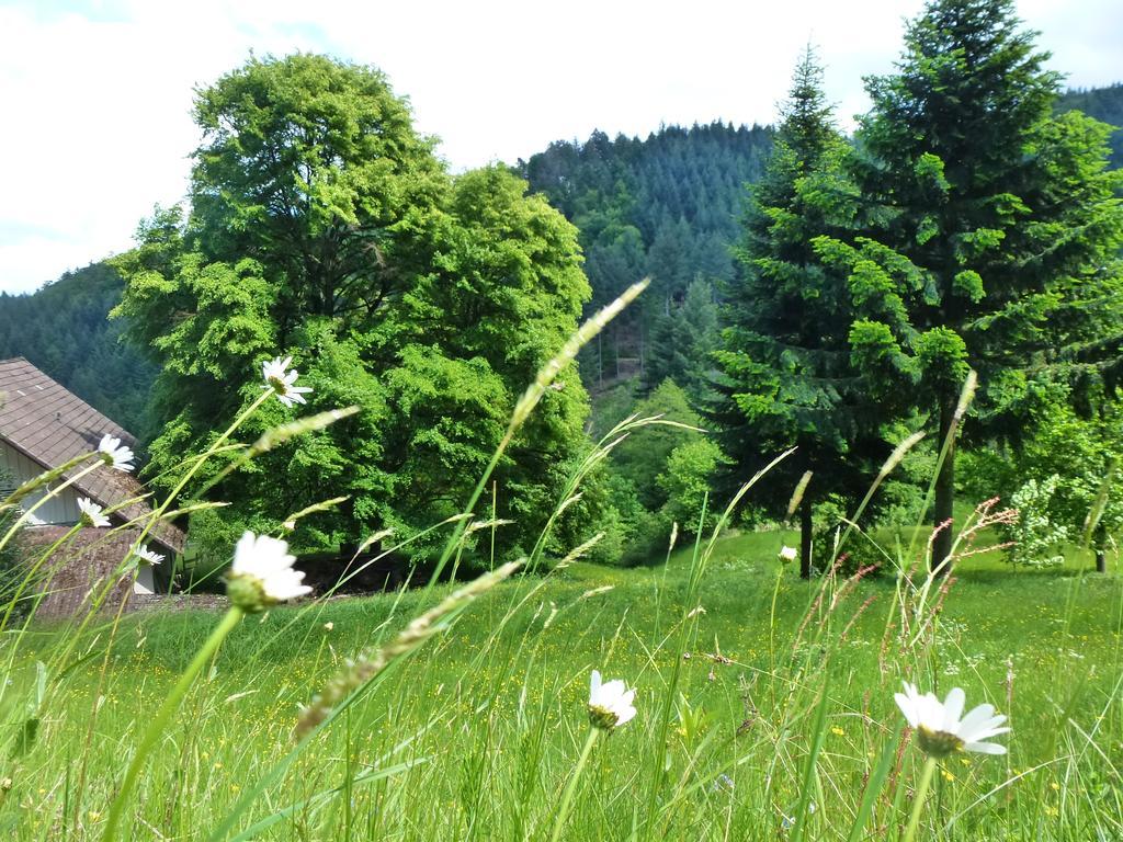 Baumanns Landhaus Durbach Zewnętrze zdjęcie