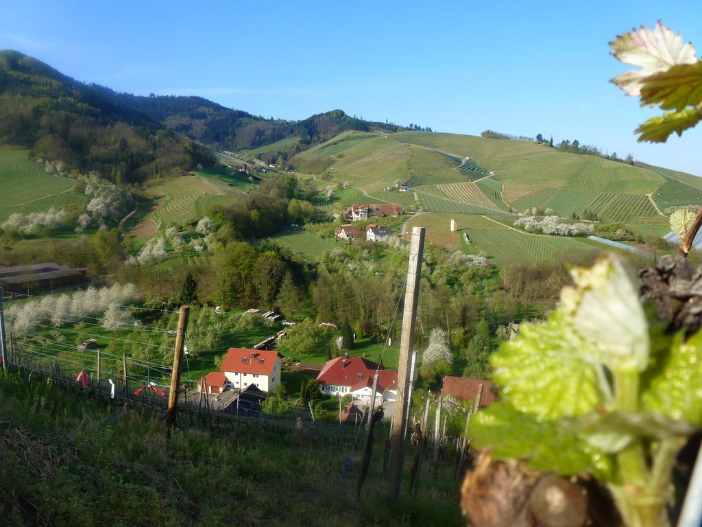 Baumanns Landhaus Durbach Zewnętrze zdjęcie
